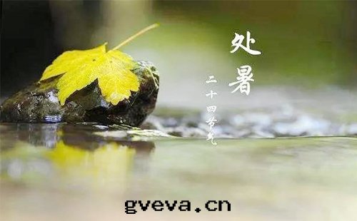 今日(rì)處(chù)暑丨新(xīn)天(tiān)石(dàn)化與(yǔ)您一(yī)同安(ān)全(quán)度夏，穩健前(qián)行.jpg